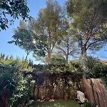 New 250m With Pool & Terrace Apartment *